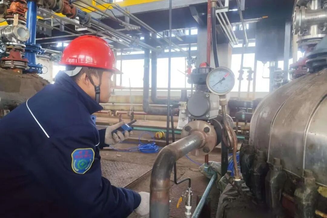 1769070253269594.jpg 3.jpg